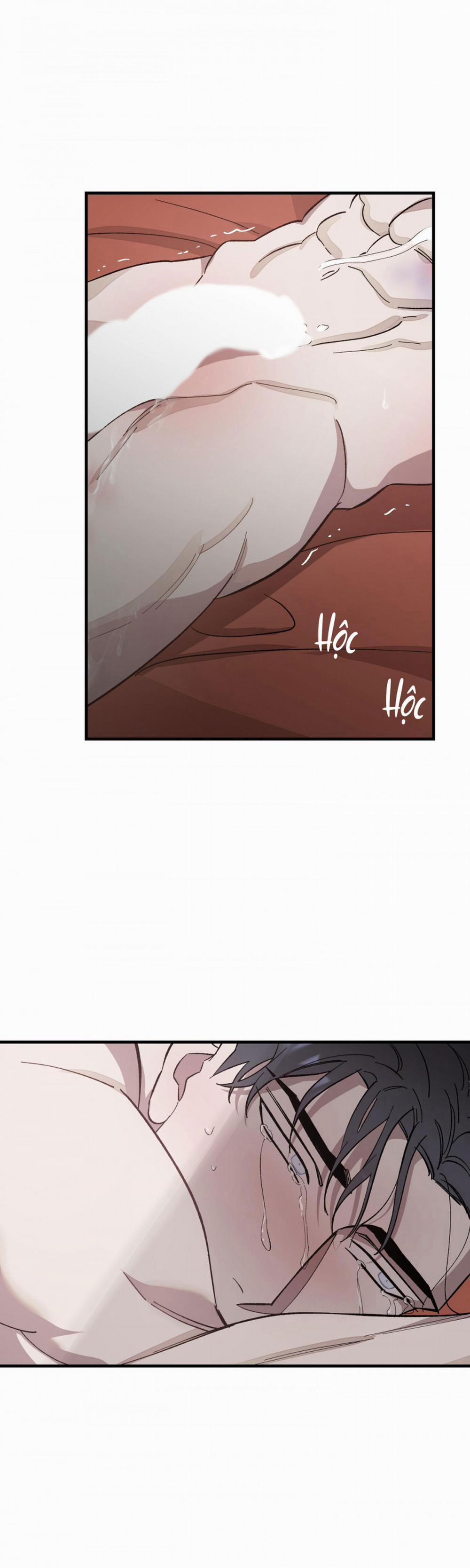 Đóa Hoa Của Mặt Trời 9.5 trang 8