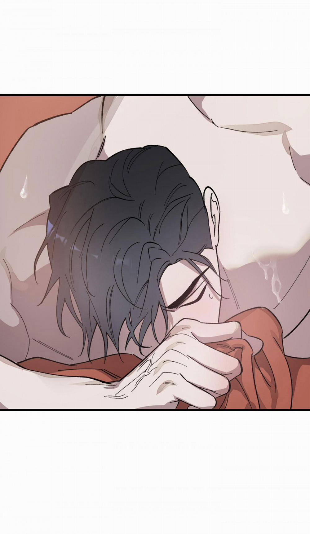 Đóa Hoa Của Mặt Trời 9 trang 17