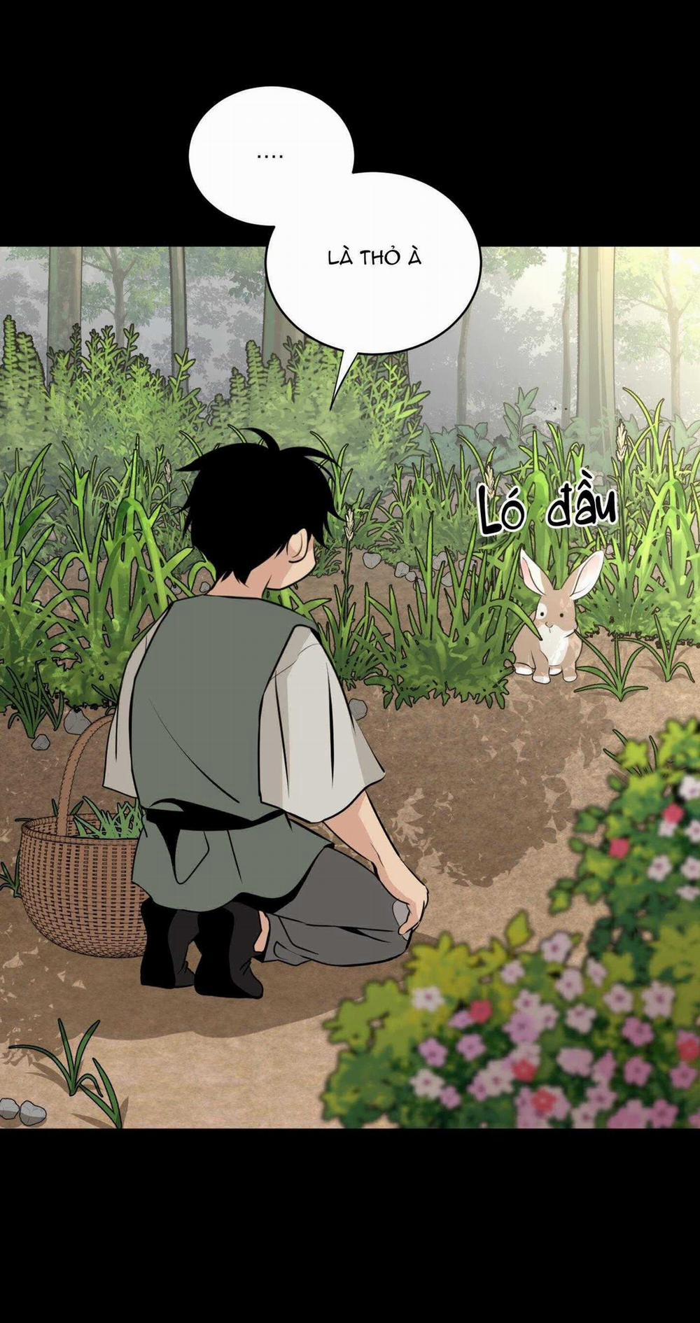 Đóa Hoa Không Tên 14 trang 13