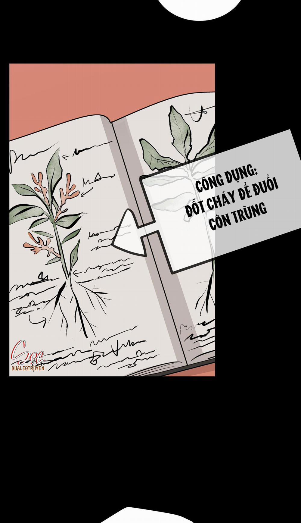 Đóa Hoa Không Tên 2 trang 55