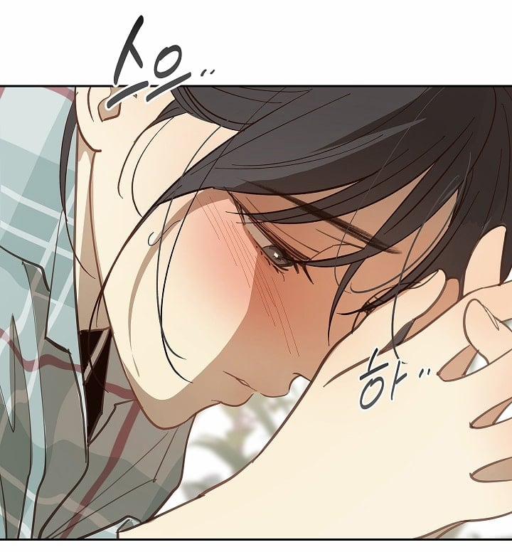 Đóa Hoa Là Mồi Nhử 20 trang 31