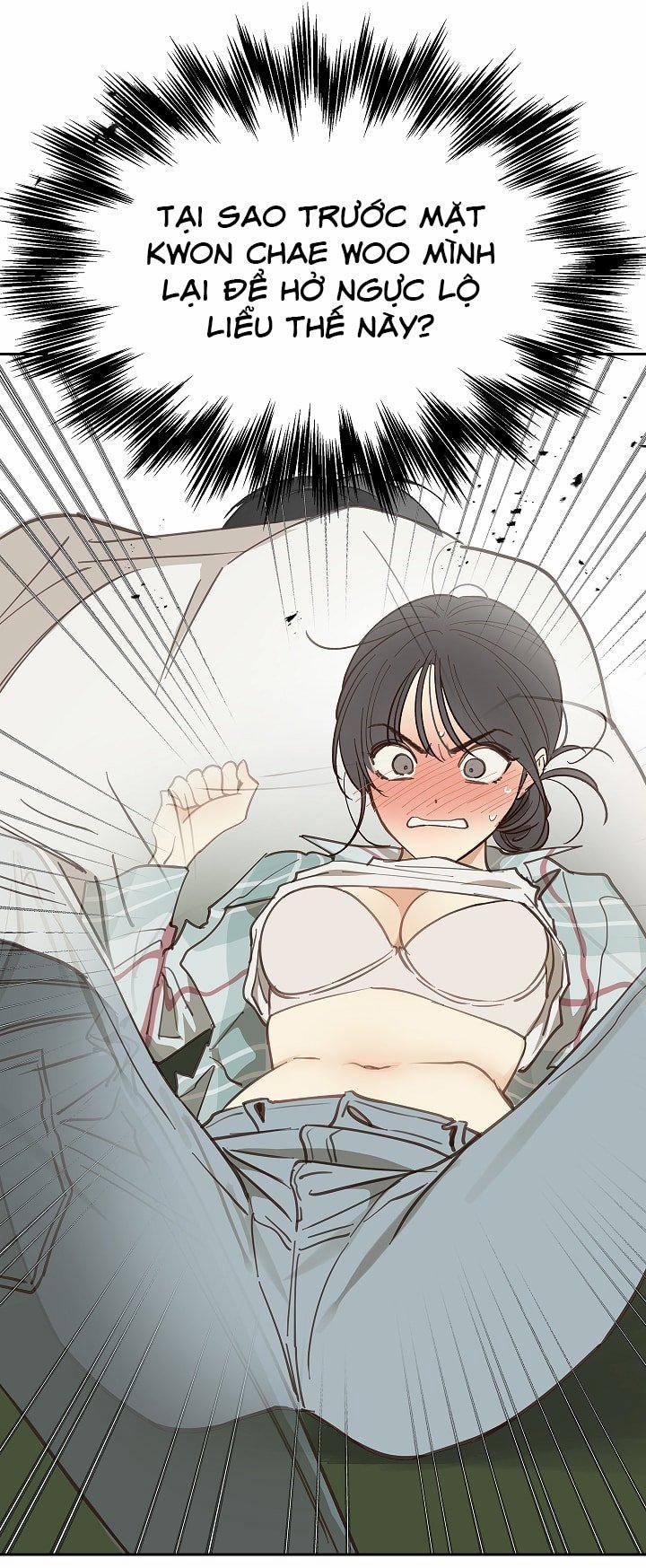 Đóa Hoa Là Mồi Nhử 20 trang 4