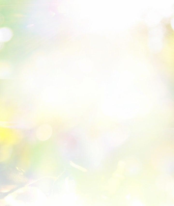 Đóa Hoa Là Mồi Nhử 20 trang 86