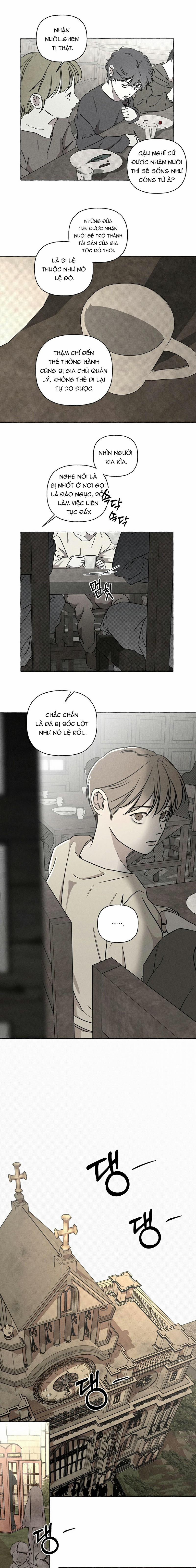 Đóa Hoa Xương 31 trang 5