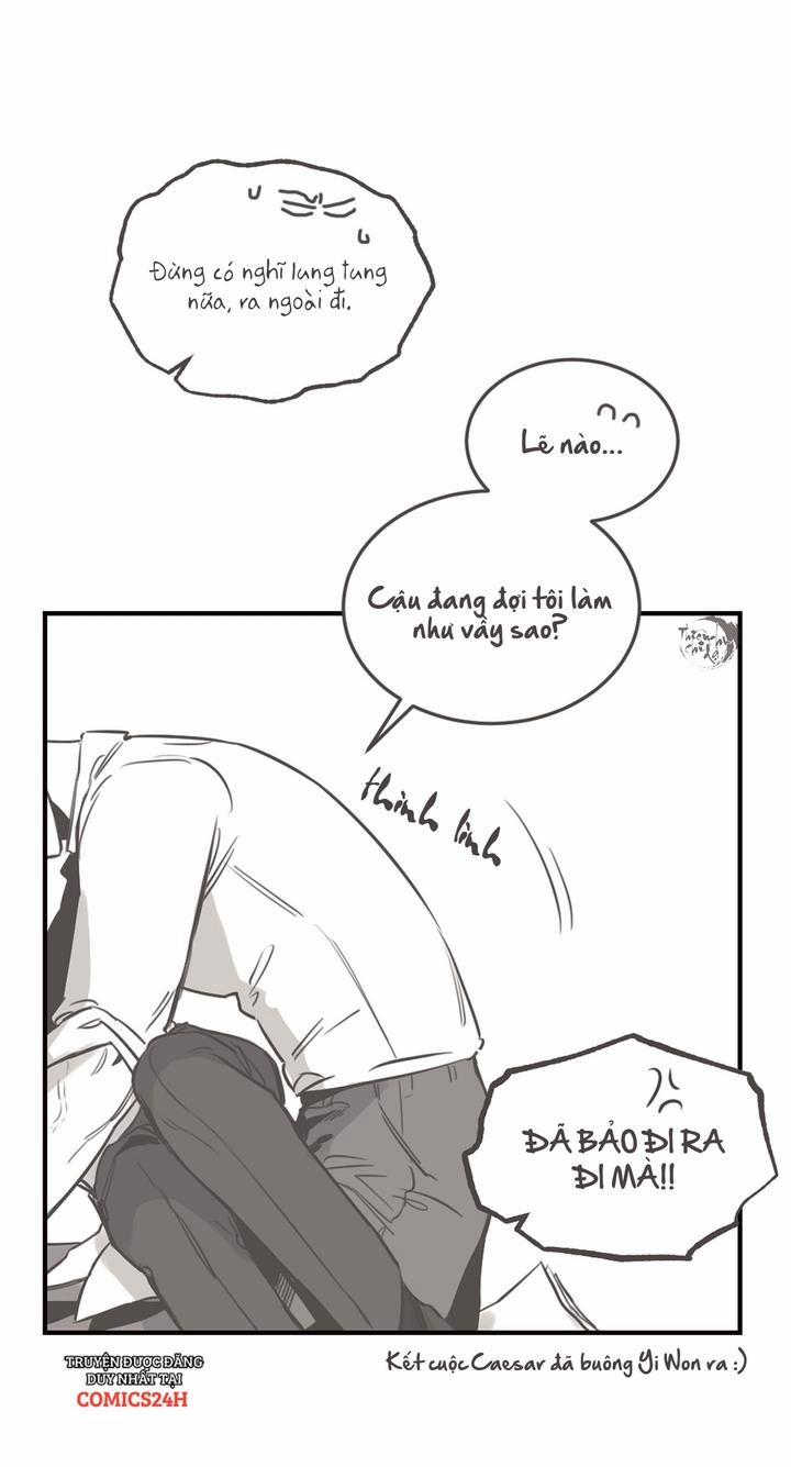 Đoá Hồng Và Ly Champagne 24.5 trang 15