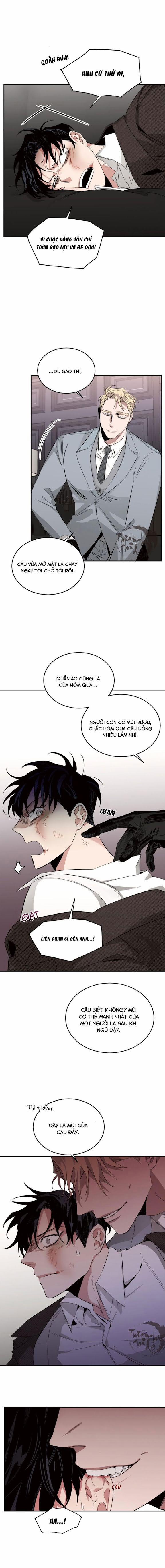 Đoá Hồng Và Ly Champagne 4 trang 14