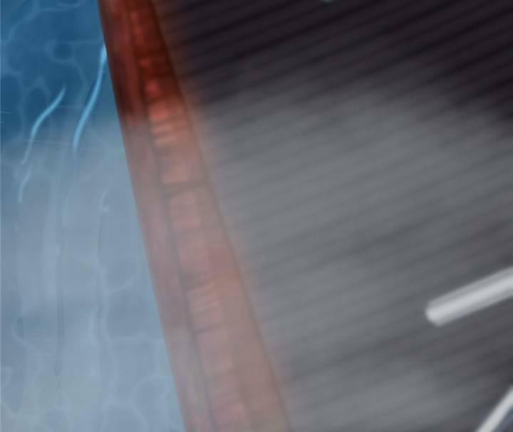 Độc Bộ Thiên Hạ: Đặc Công Thần Y 144 trang 24