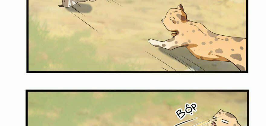 Độc Bộ Thiên Hạ: Đặc Công Thần Y 23 trang 131