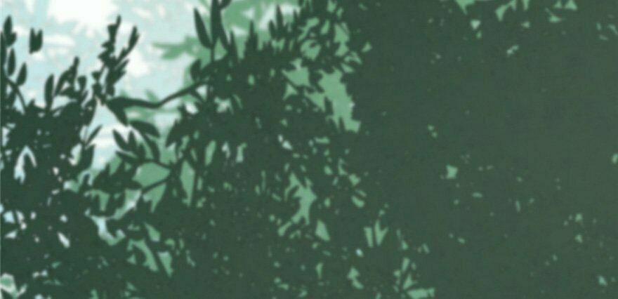 Độc Bộ Thiên Hạ: Đặc Công Thần Y 26 trang 41