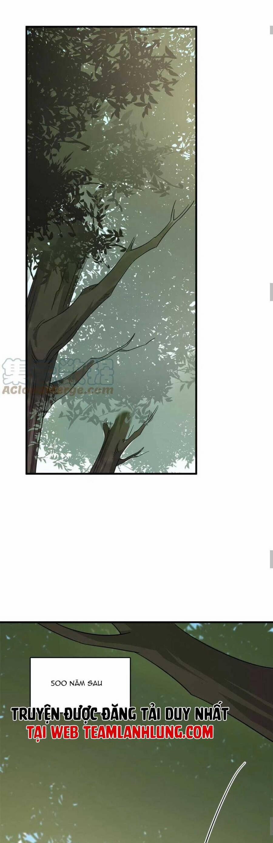 Độc Bộ Thiên Hạ: Đặc Công Thần Y 426 trang 11