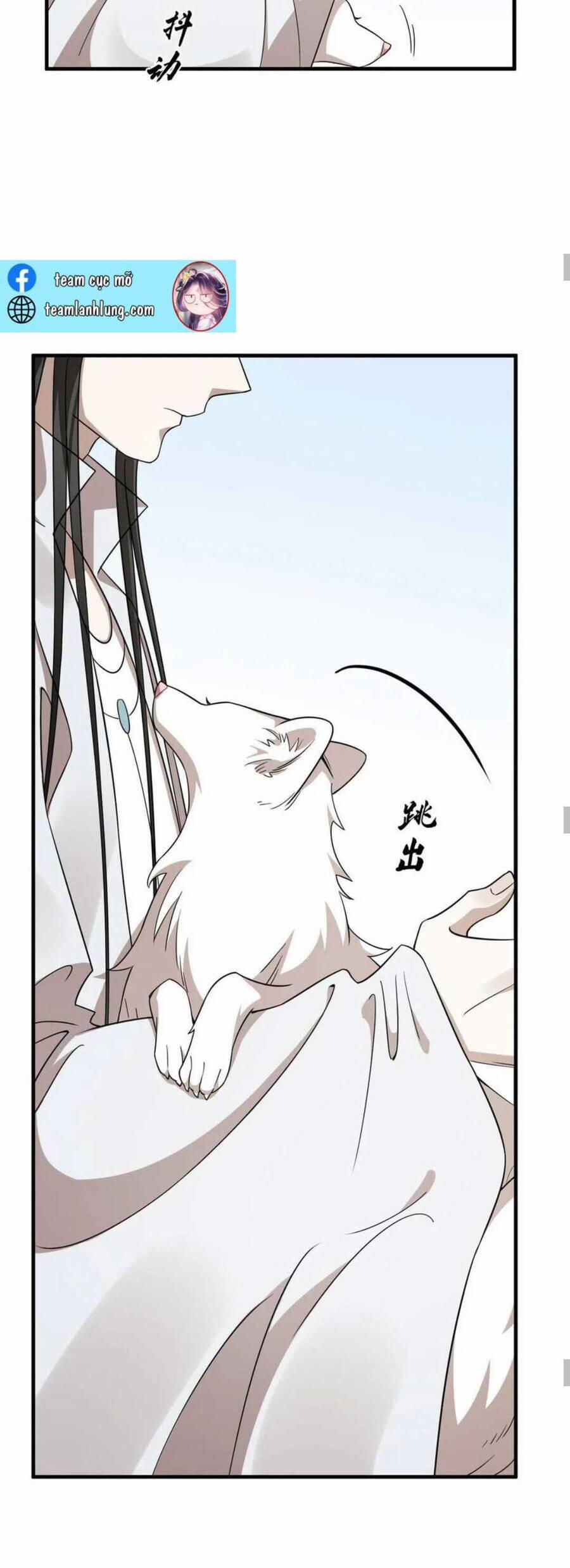 Độc Bộ Thiên Hạ: Đặc Công Thần Y 429 trang 15