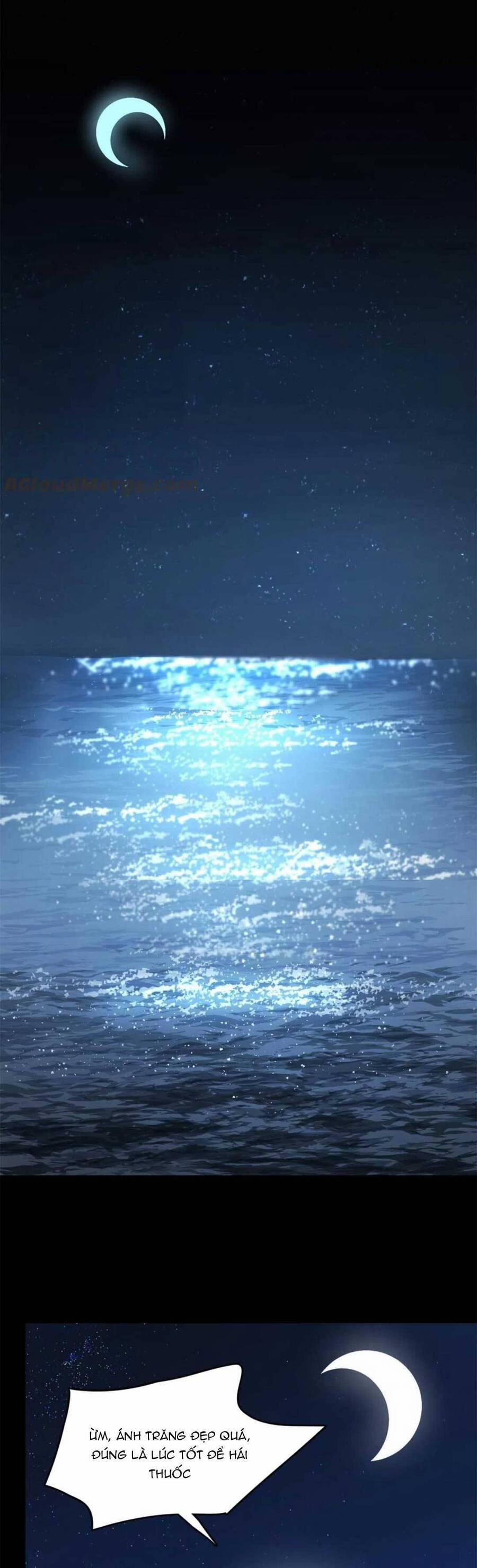 Độc Bộ Thiên Hạ: Đặc Công Thần Y 440 trang 6