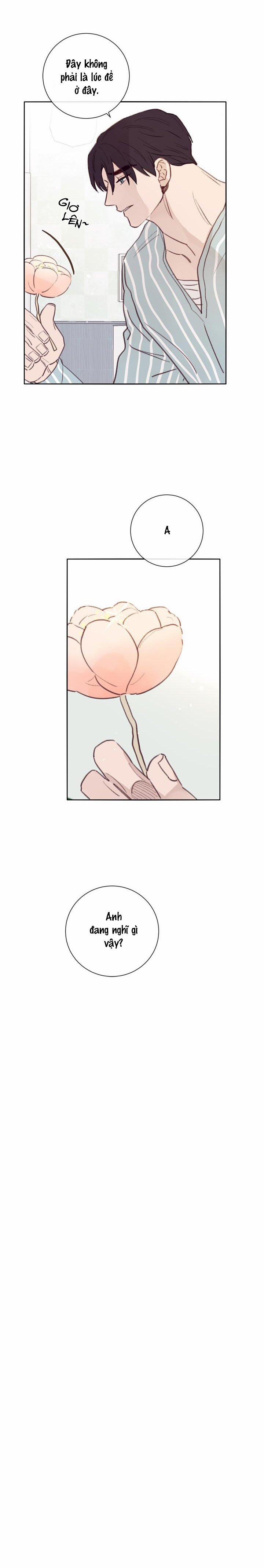 Độc Dược (Marcel) 6 trang 2