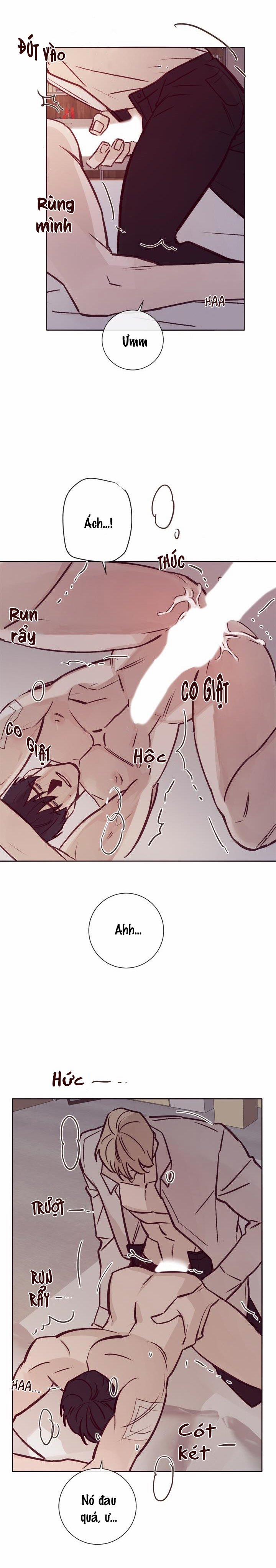 Độc Dược (Marcel) 8 trang 13