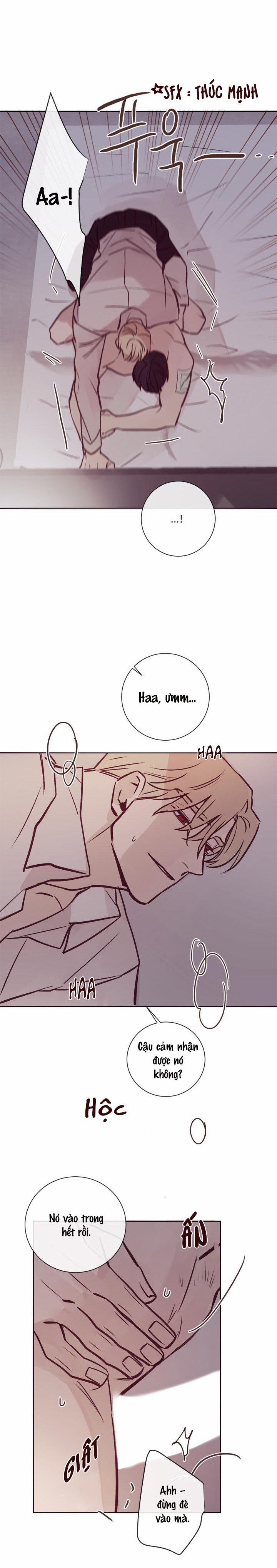 Độc Dược (Marcel) 8 trang 16