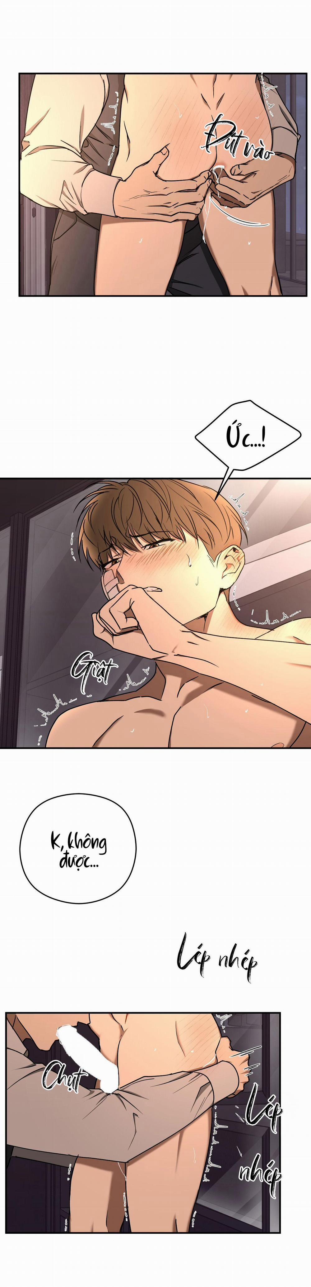 ĐỘC XÀ 21 trang 11