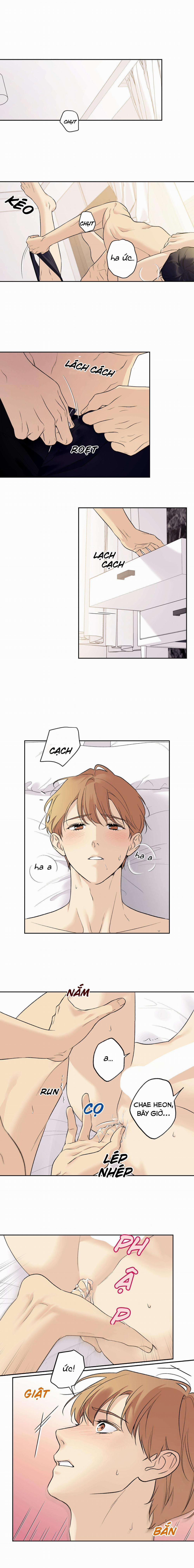 Đối Tốt Với Tôi Khó Vậy Sao? 36 trang 7