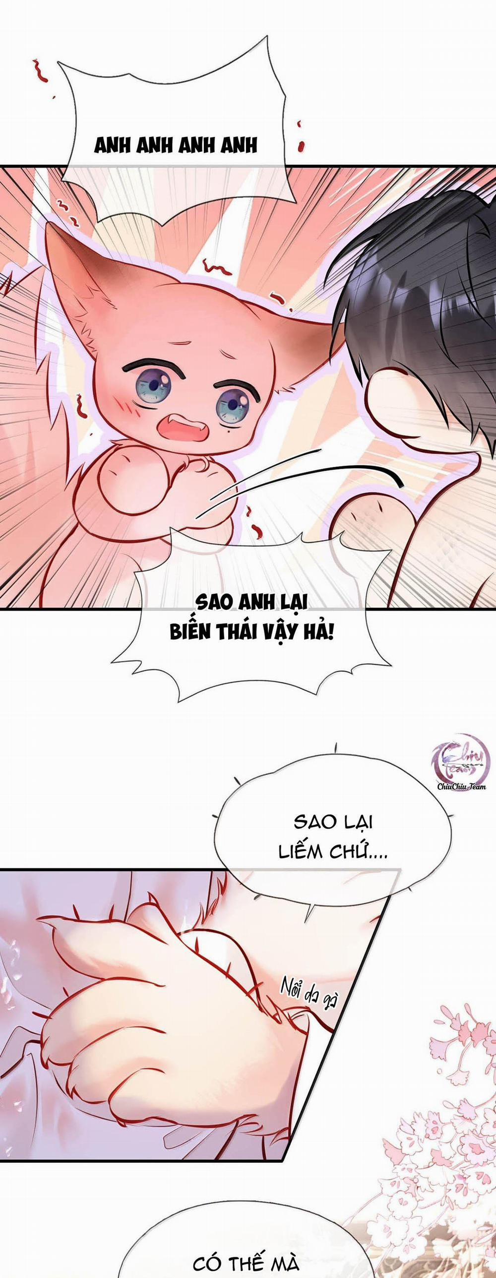 ĐỐI TƯỢNG CÔNG LƯỢC! THIẾT LẬP TÍNH CÁCH CỦA ANH BỊ MÉO MÓ RỒI! 24 trang 8