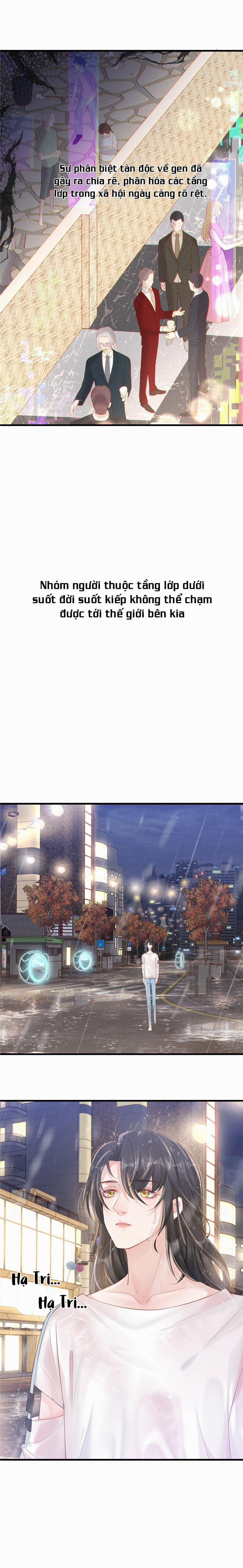 Động Vật Cấp Thấp (END) 1 trang 1