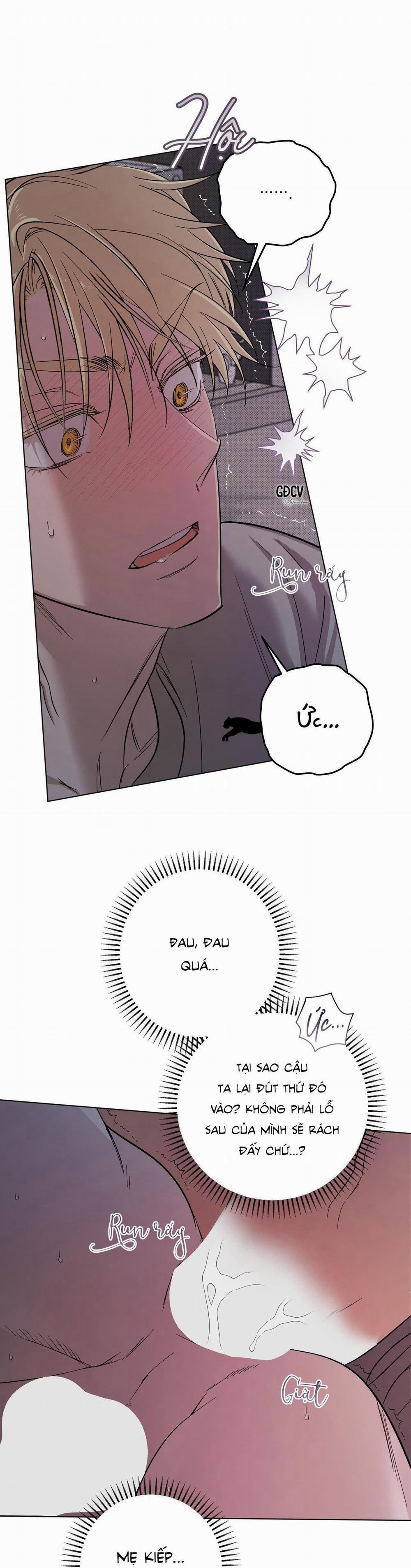 Driver's High 14 trang 8