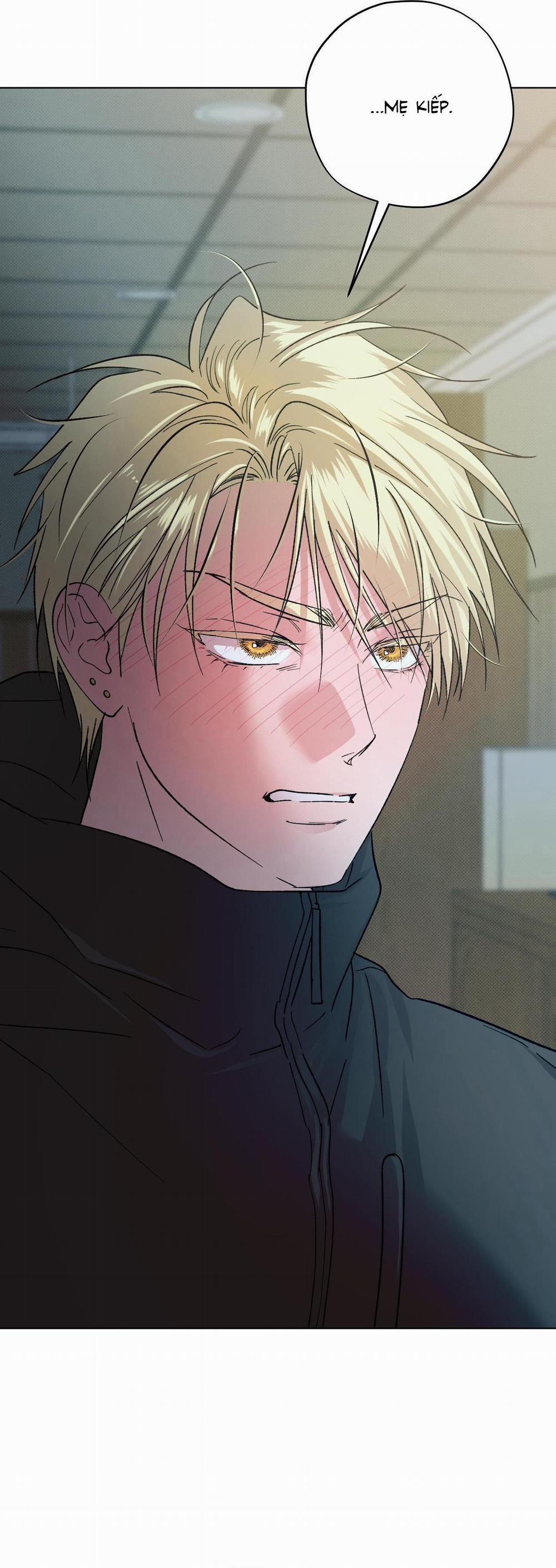 Driver's High 30 NT8 trang 19