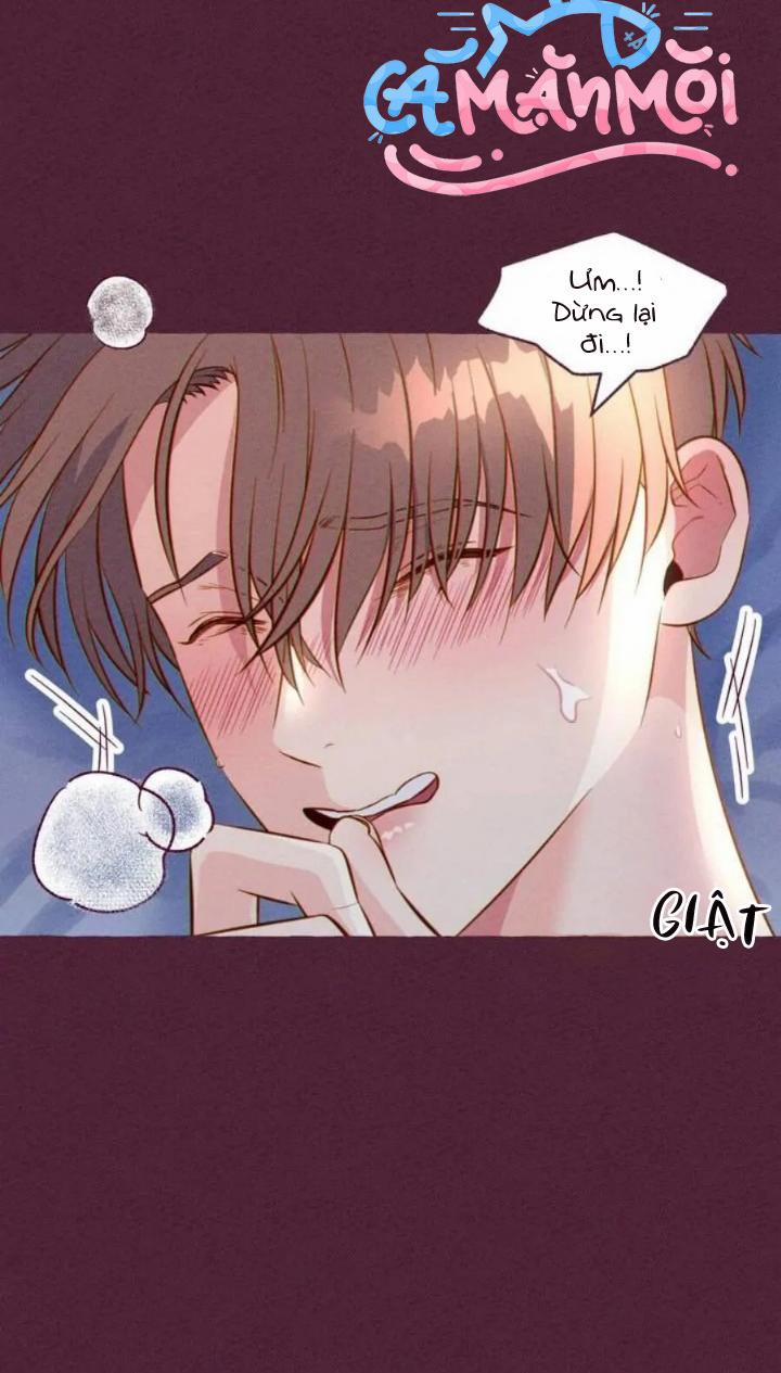 Dự Báo Thời Tiết Ngày Mai Sẽ Nắng 1 trang 11