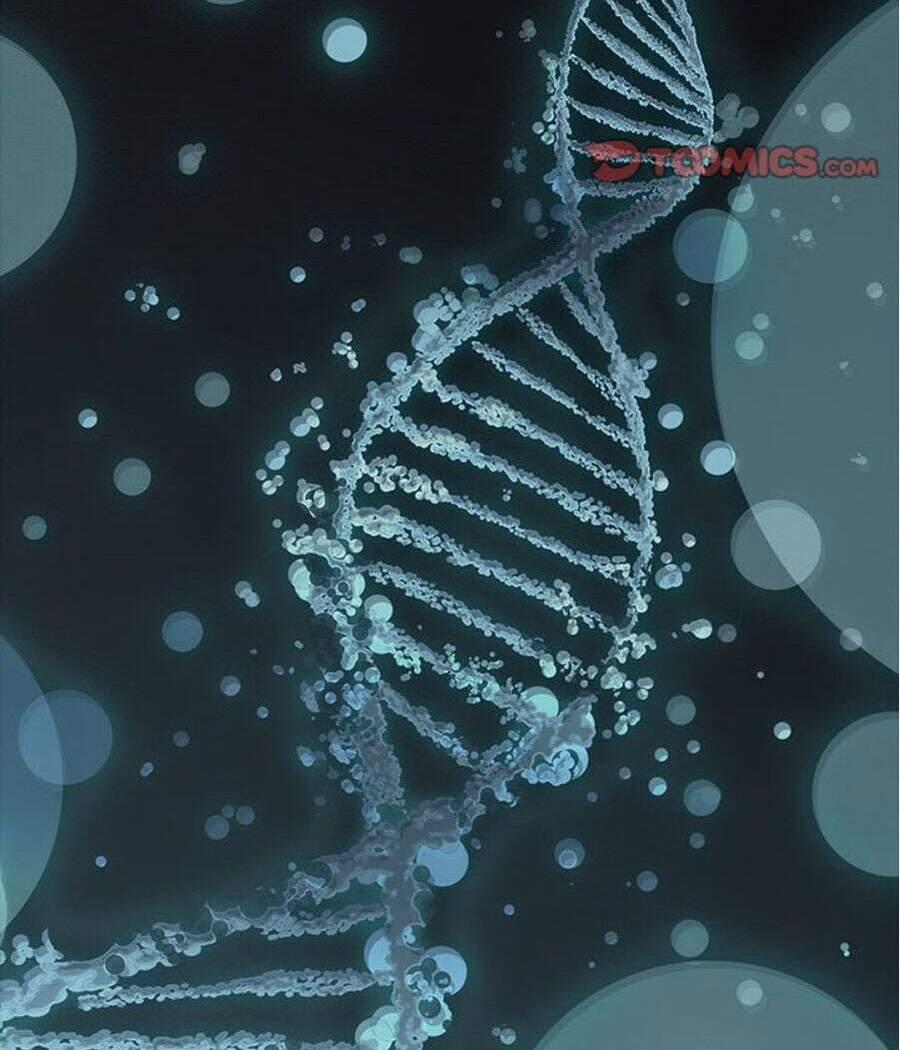 Đứa Con Thần Chết 173 trang 58