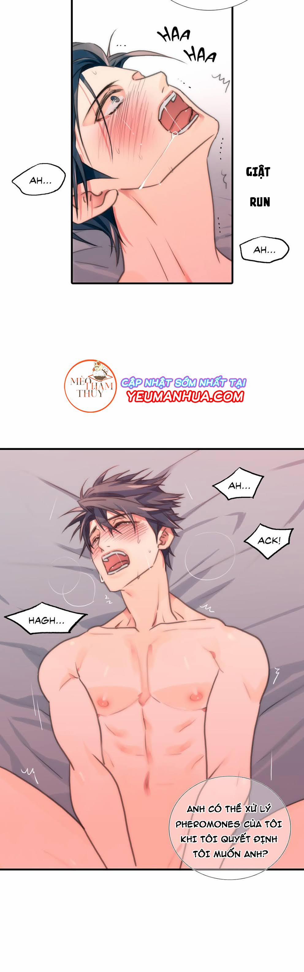 Đưa Đón Người Yêu 11 trang 12