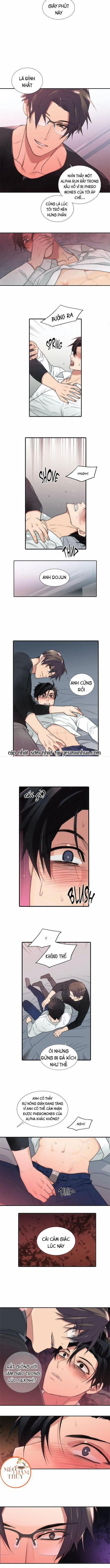 Đưa Đón Người Yêu 41 trang 2