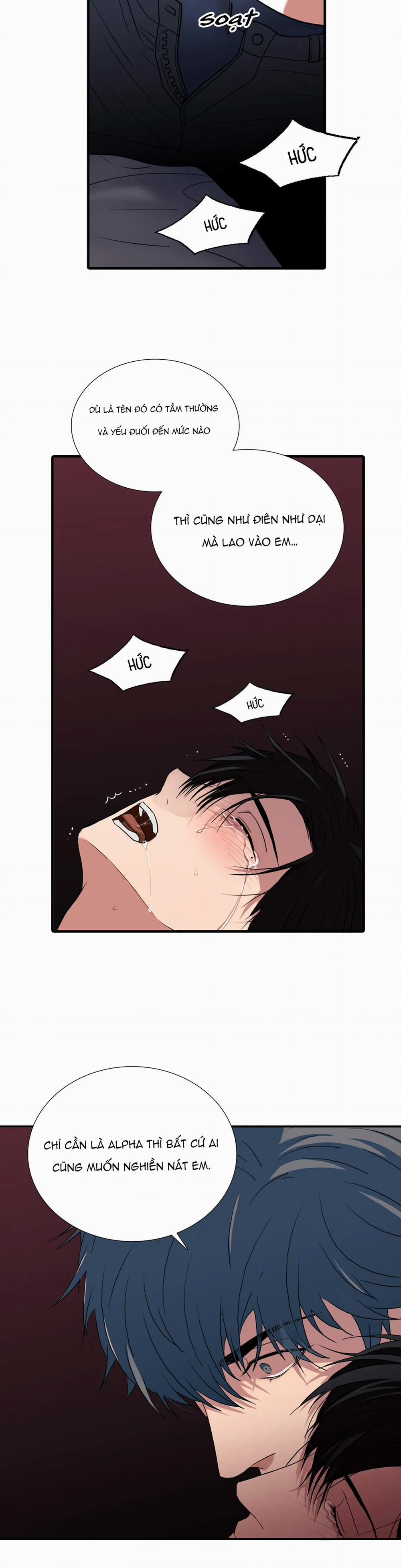 Đưa Đón Người Yêu 95 trang 17