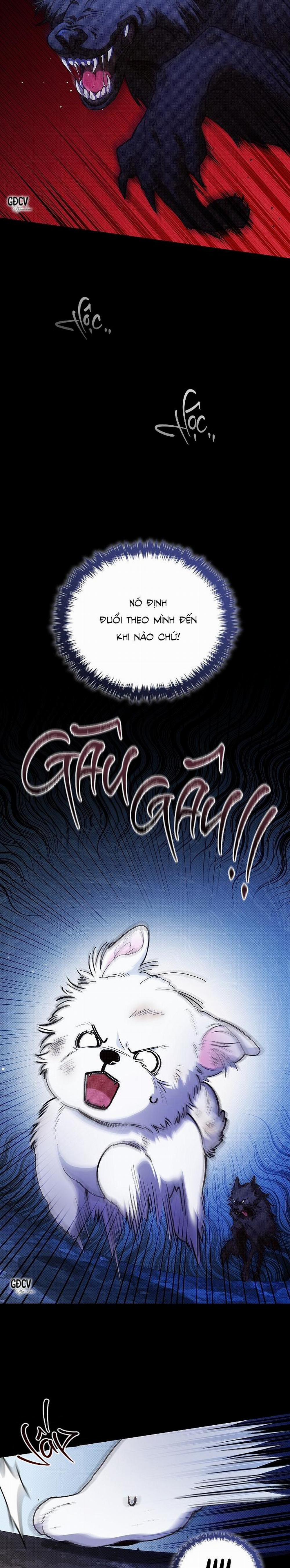 ĐỪNG CHẠM VÀO CÚN CON CỦA TÔI 1 trang 1