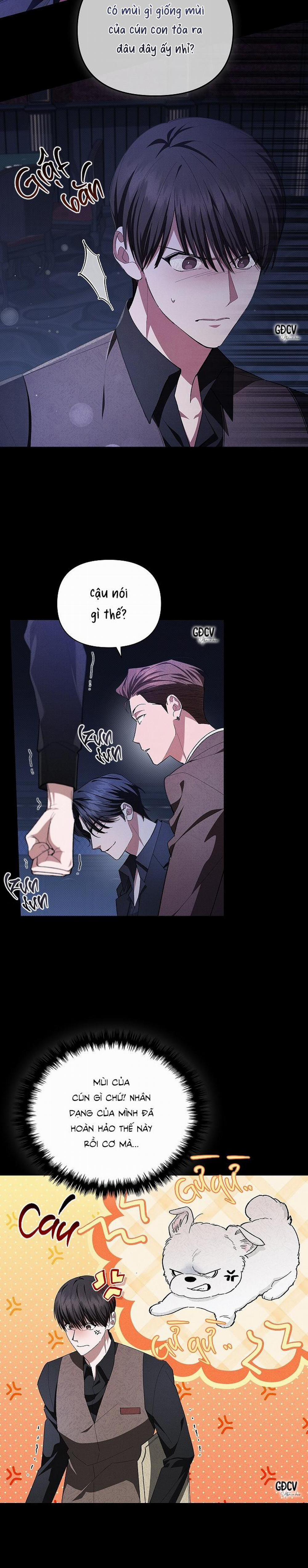 ĐỪNG CHẠM VÀO CÚN CON CỦA TÔI 1 trang 14