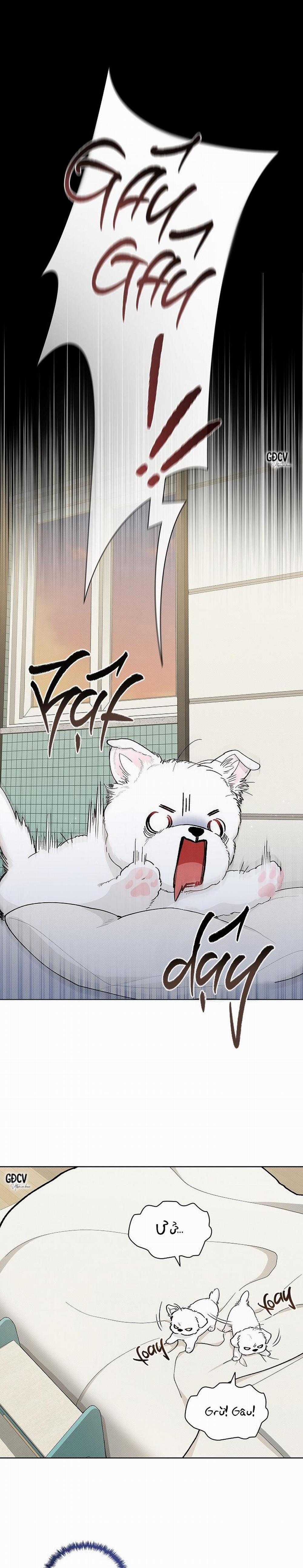 ĐỪNG CHẠM VÀO CÚN CON CỦA TÔI 1 trang 5