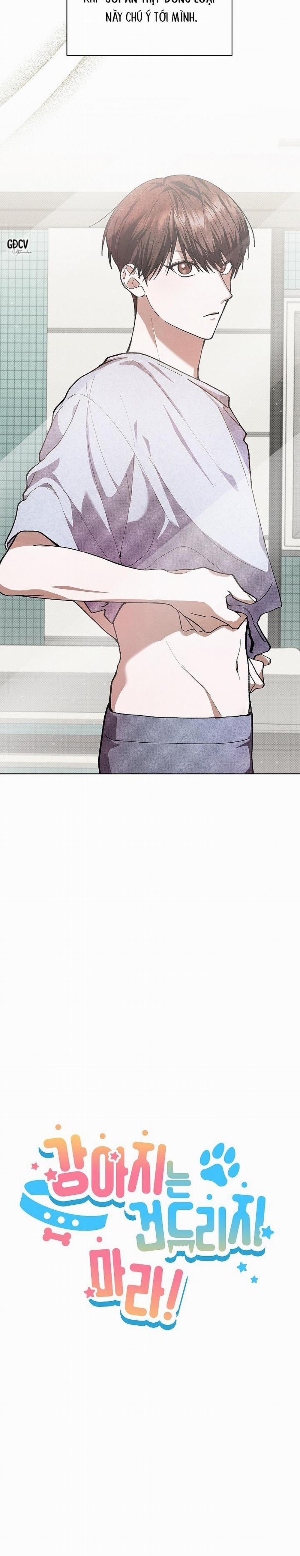 ĐỪNG CHẠM VÀO CÚN CON CỦA TÔI 1 trang 8