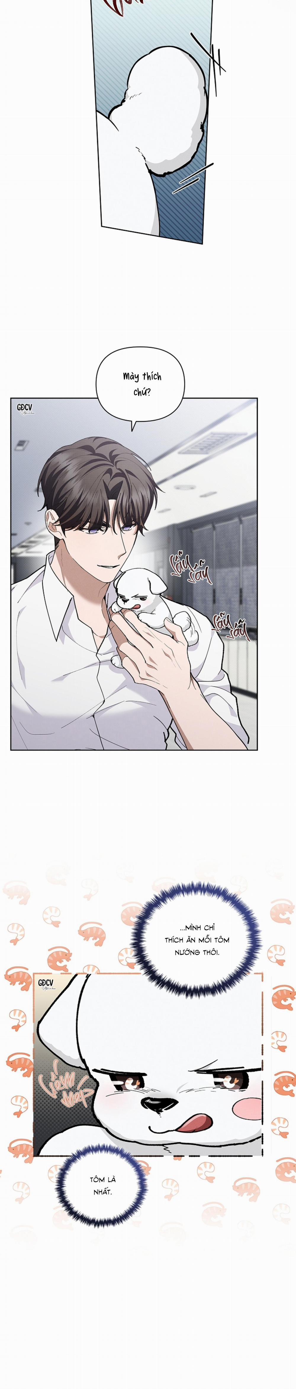 ĐỪNG CHẠM VÀO CÚN CON CỦA TÔI 10 trang 10