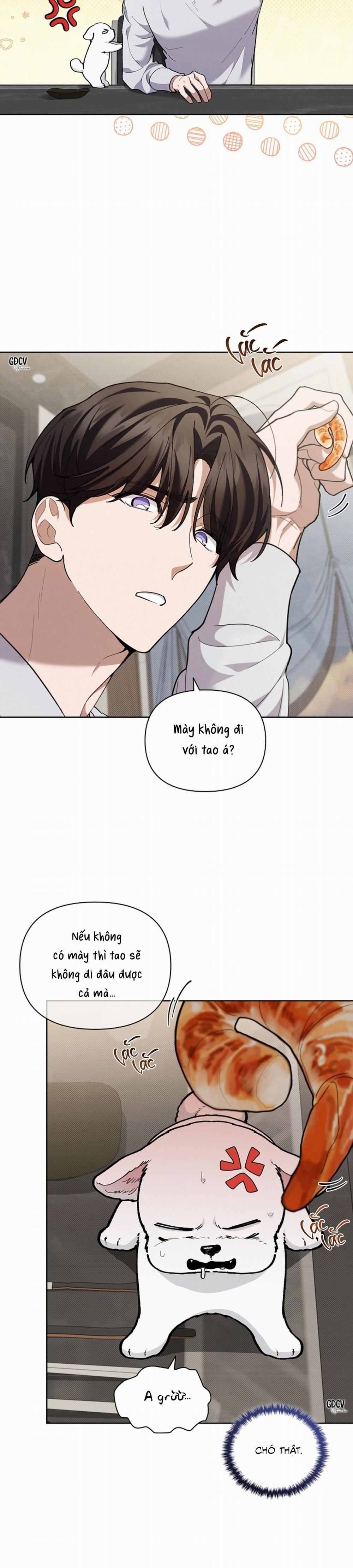 ĐỪNG CHẠM VÀO CÚN CON CỦA TÔI 10 trang 14