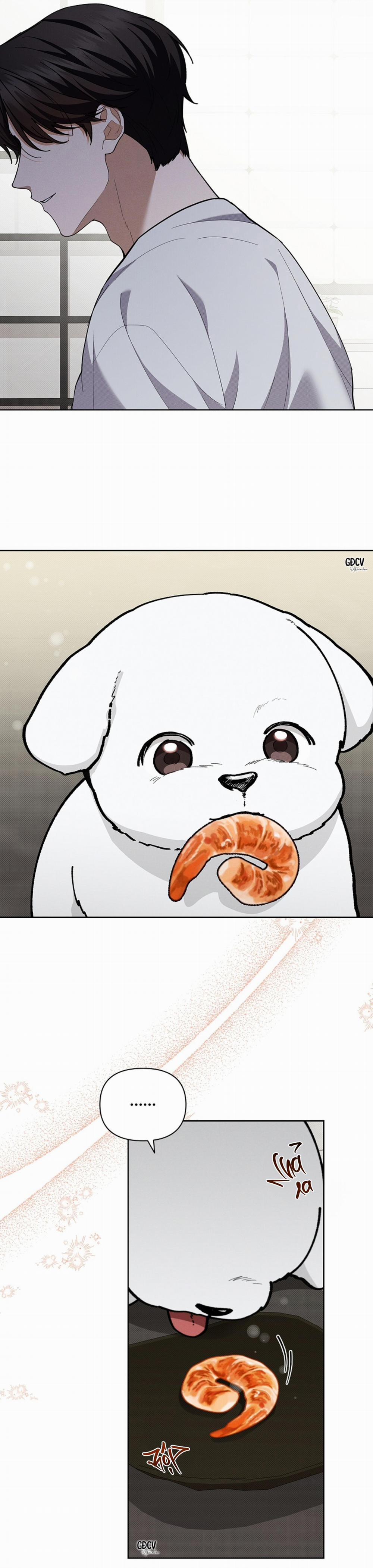 ĐỪNG CHẠM VÀO CÚN CON CỦA TÔI 10 trang 18