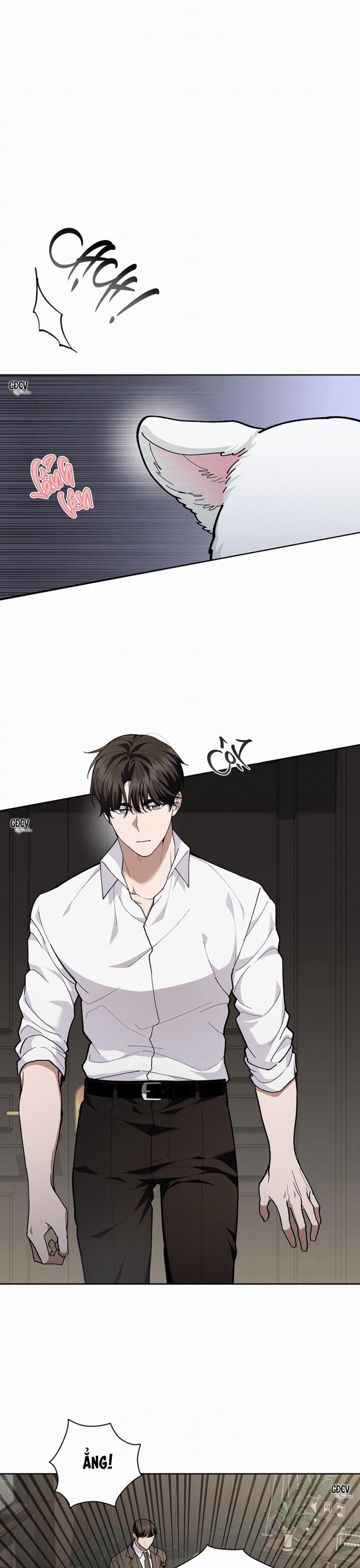 ĐỪNG CHẠM VÀO CÚN CON CỦA TÔI 10 trang 3