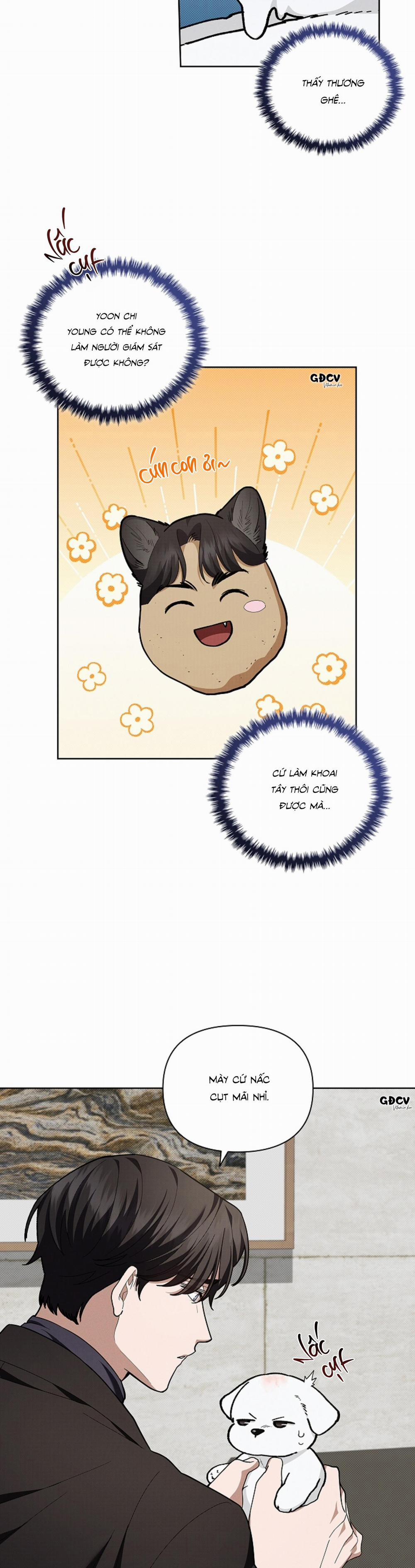 ĐỪNG CHẠM VÀO CÚN CON CỦA TÔI 12 trang 13