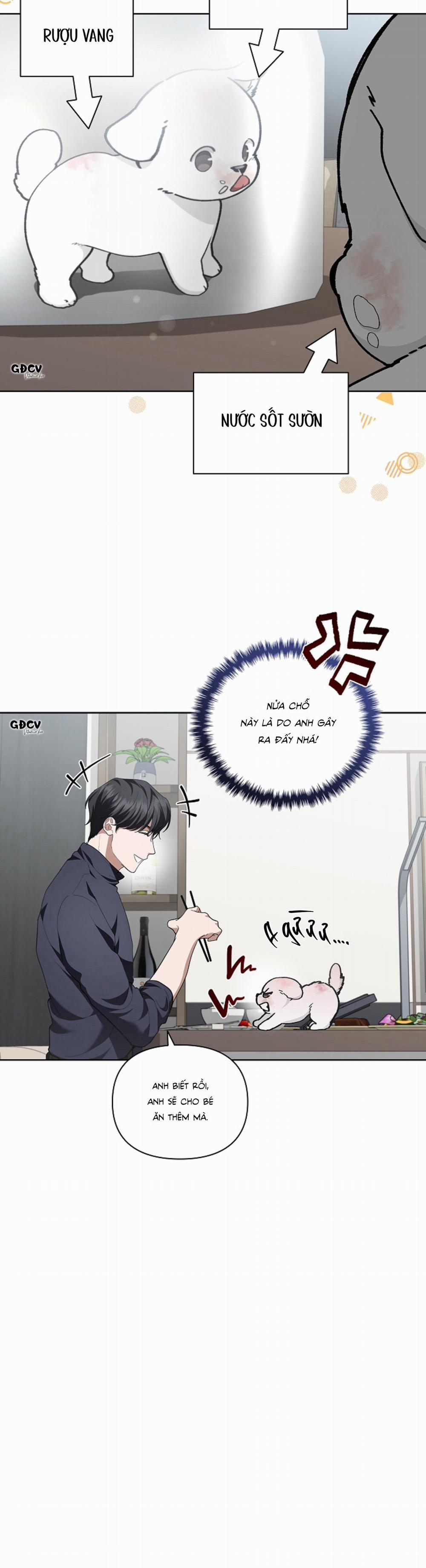 ĐỪNG CHẠM VÀO CÚN CON CỦA TÔI 12 trang 26