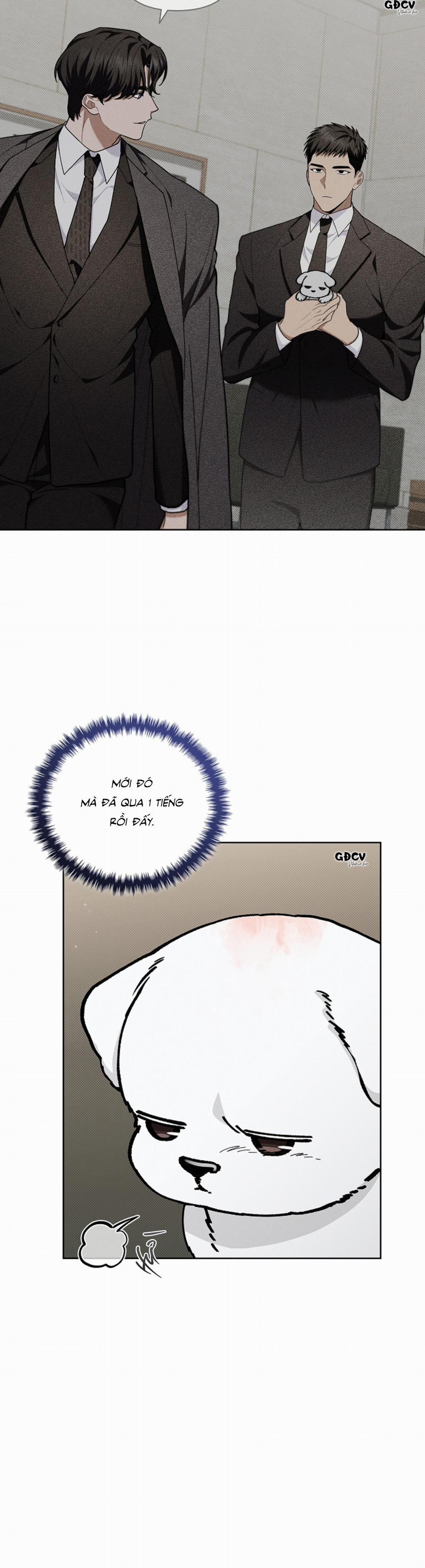 ĐỪNG CHẠM VÀO CÚN CON CỦA TÔI 12 trang 3