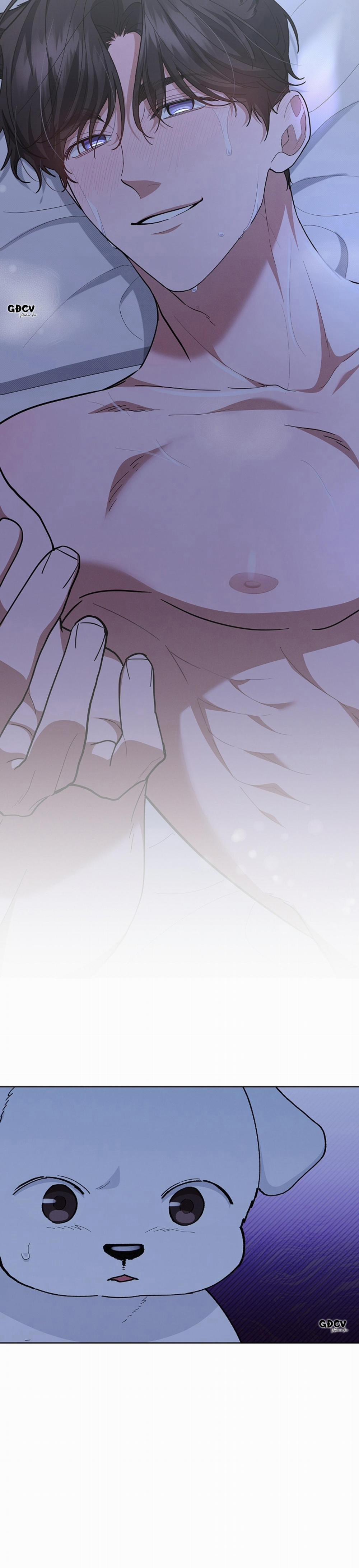 ĐỪNG CHẠM VÀO CÚN CON CỦA TÔI 13 trang 1