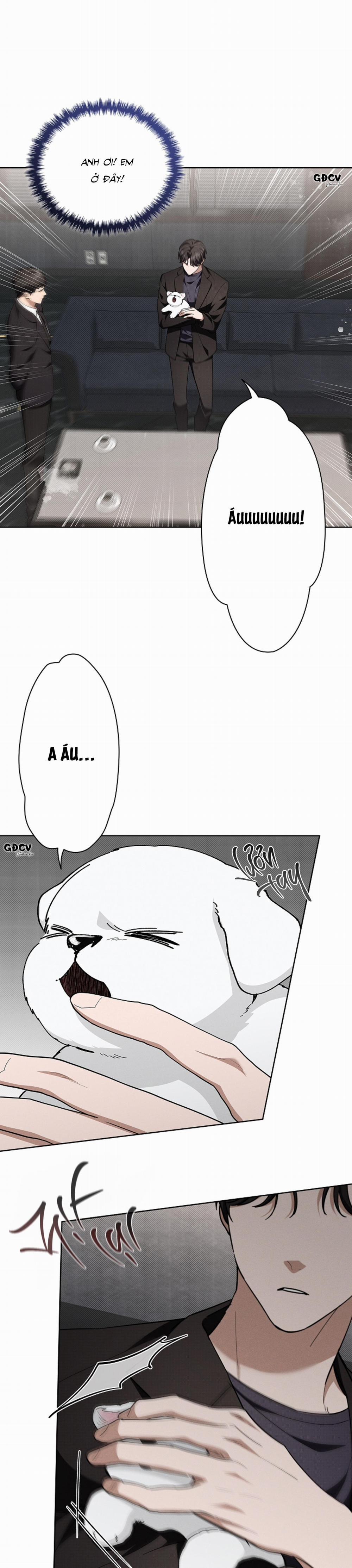 ĐỪNG CHẠM VÀO CÚN CON CỦA TÔI 13 trang 16