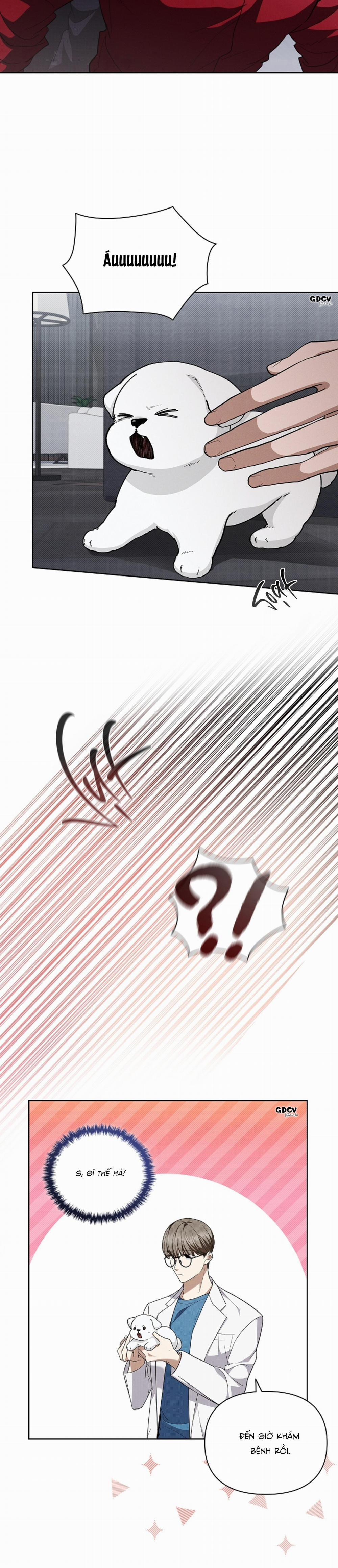 ĐỪNG CHẠM VÀO CÚN CON CỦA TÔI 13 trang 21