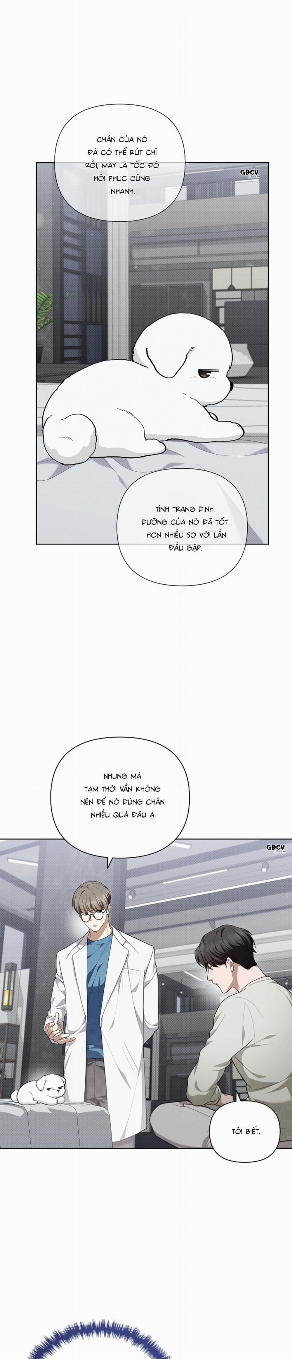 ĐỪNG CHẠM VÀO CÚN CON CỦA TÔI 13 trang 22
