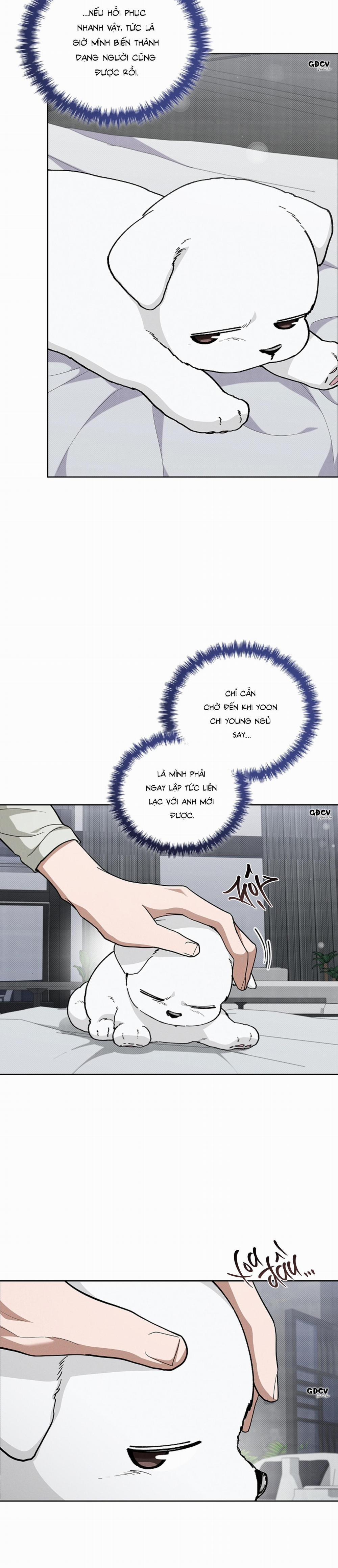 ĐỪNG CHẠM VÀO CÚN CON CỦA TÔI 13 trang 23