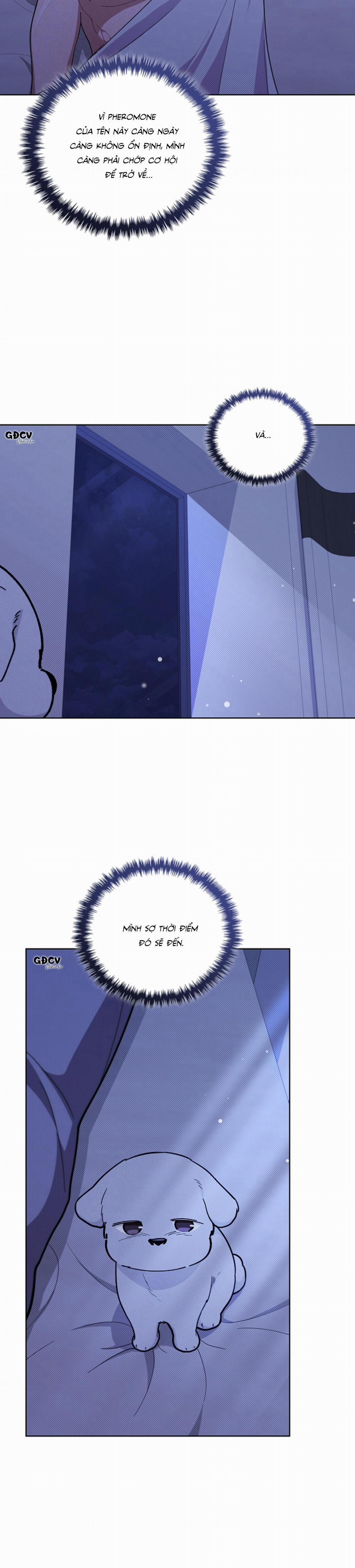 ĐỪNG CHẠM VÀO CÚN CON CỦA TÔI 13 trang 5