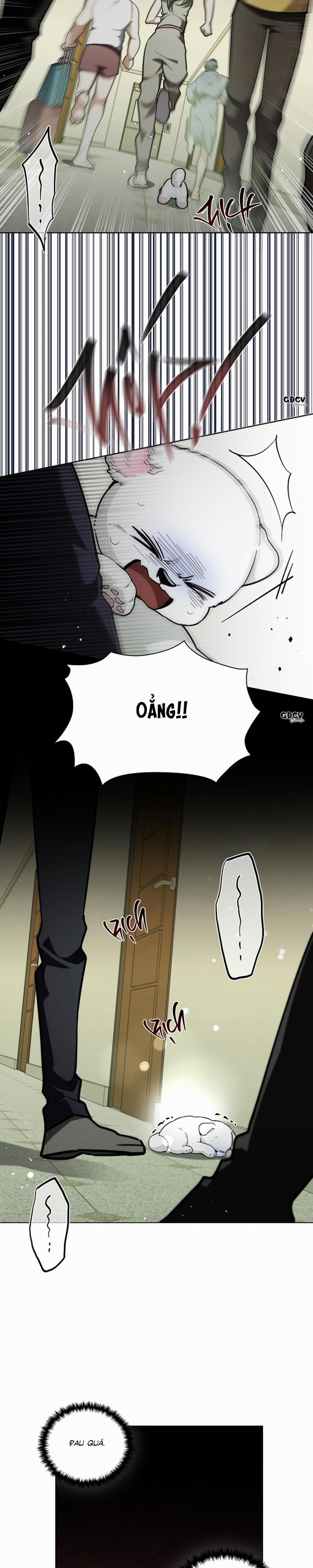 ĐỪNG CHẠM VÀO CÚN CON CỦA TÔI 15 trang 24
