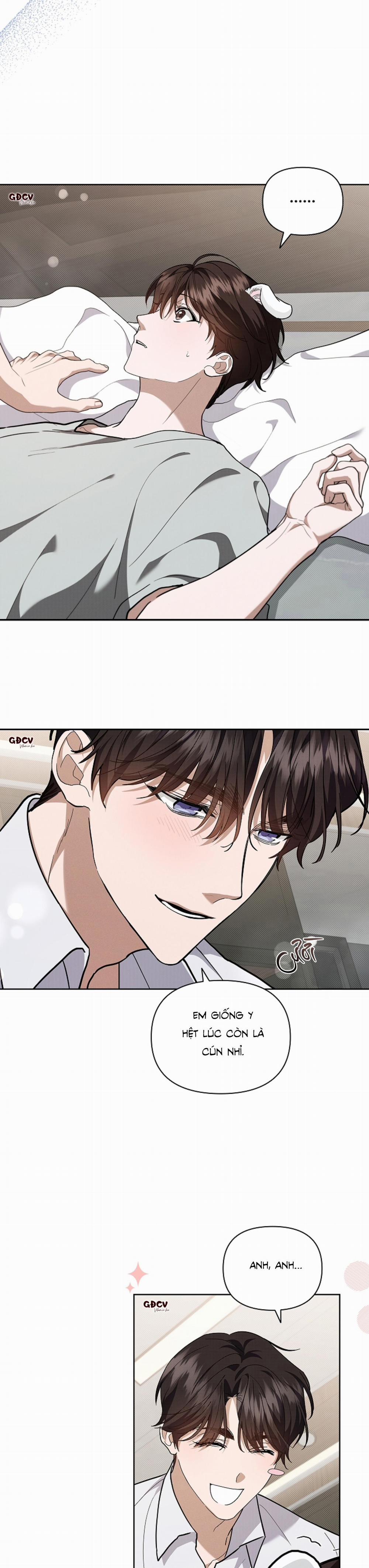 ĐỪNG CHẠM VÀO CÚN CON CỦA TÔI 17 trang 1