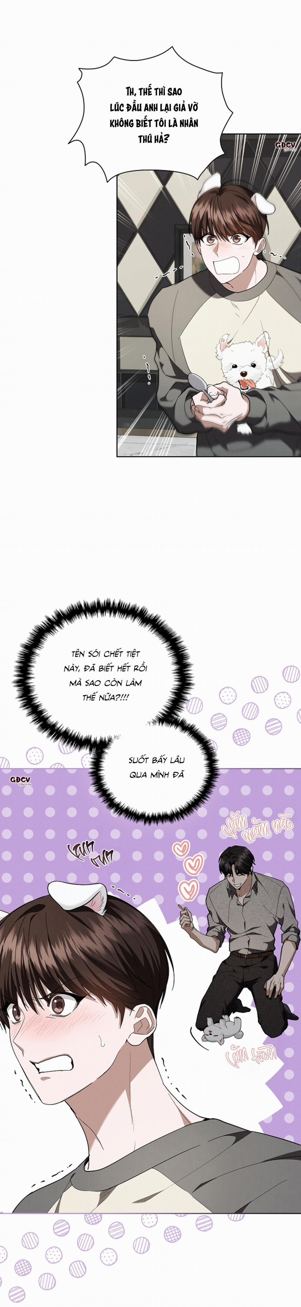 ĐỪNG CHẠM VÀO CÚN CON CỦA TÔI 17 trang 11